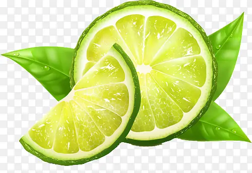 ����Ƭ-������