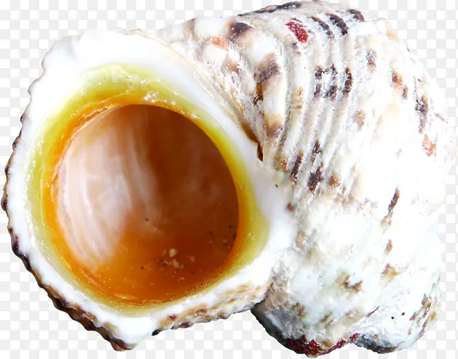 ��ɫ���ڵ���ĺ���-������