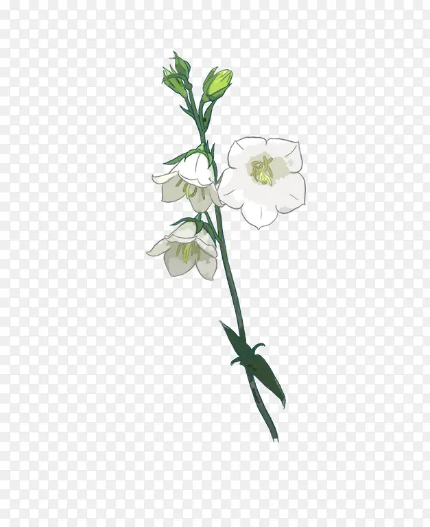 ��ɫ�׻��ֻ�-������