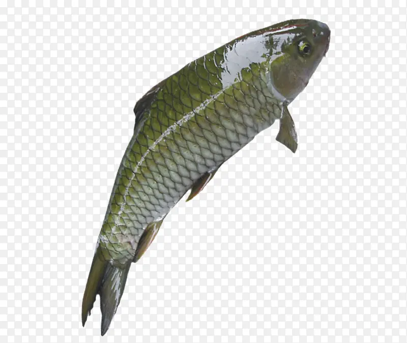 ���ϵ���-������