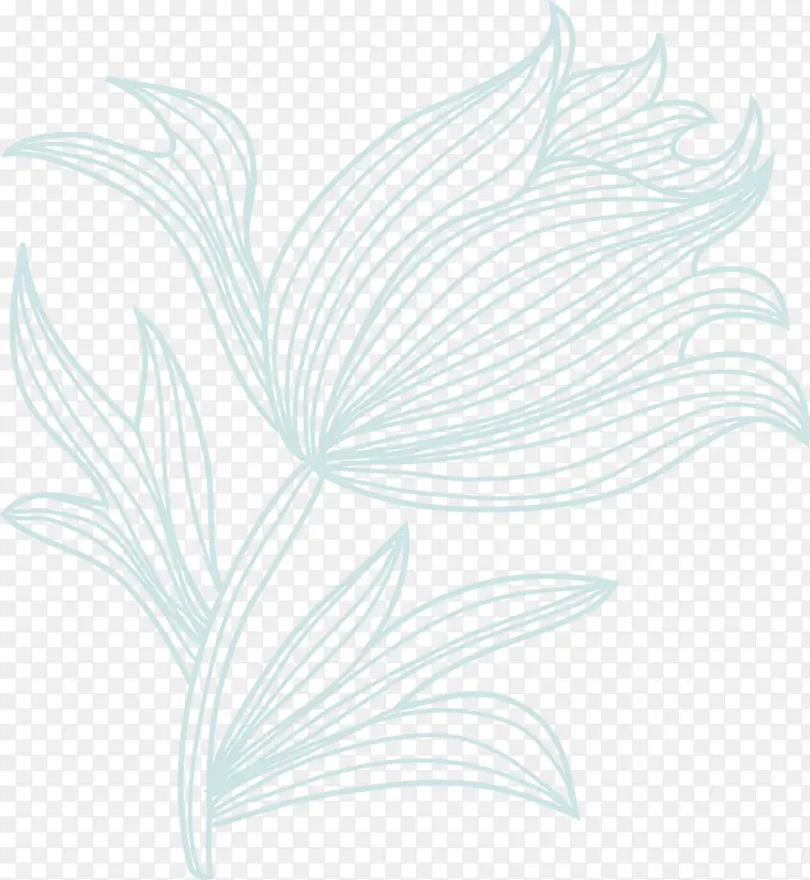 ��ɫ��������-������