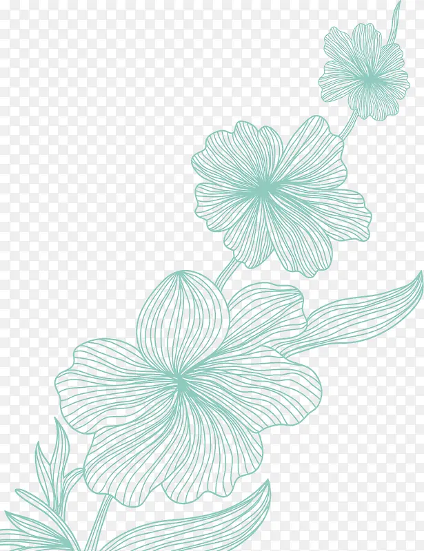 ��ɫ��������-������