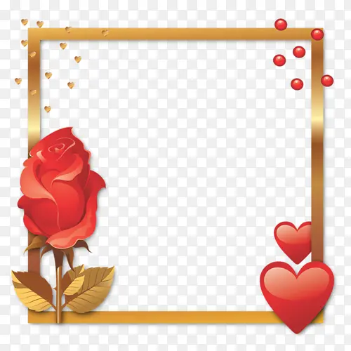 ���䰮��װ�α߿�-������