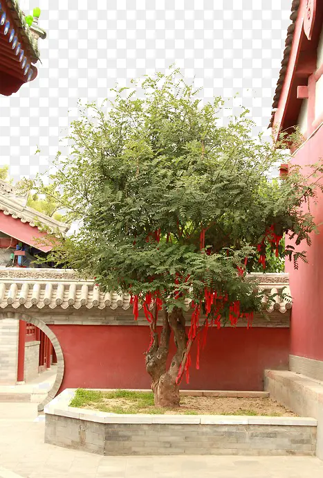 ���������С��-������