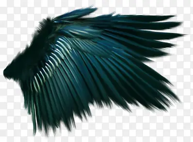 ���-������