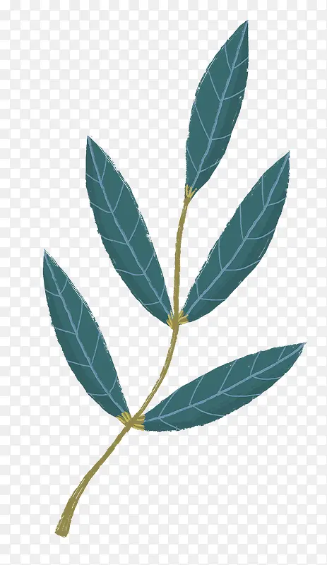 Ҷ��װ��-������