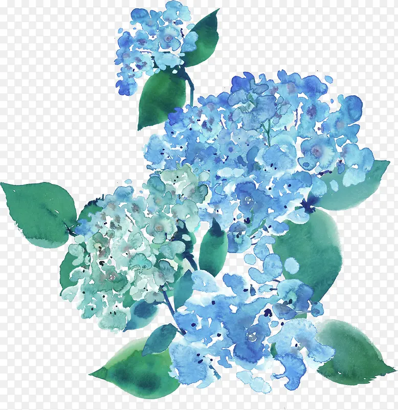 �ʻ�ֲ��-������