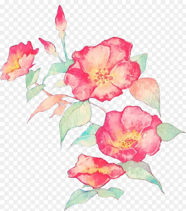 ���밮��˿-������