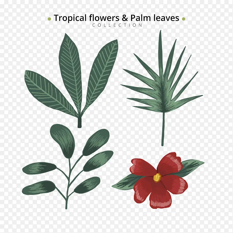 ��Ҷʸ���ز�-������