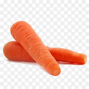 �����л����ܲ�-������