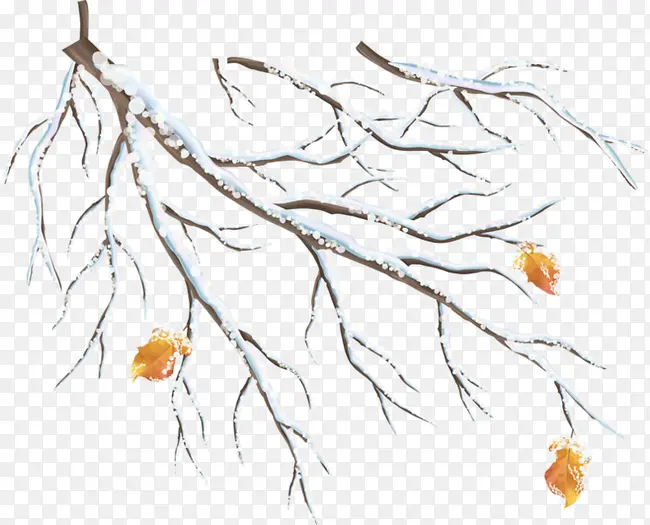 ��֦-������