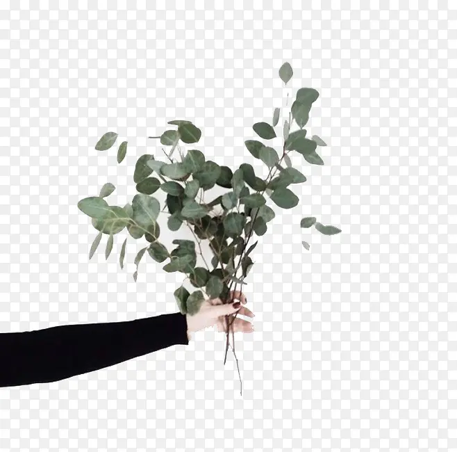 ˮ�������ʻ�-������