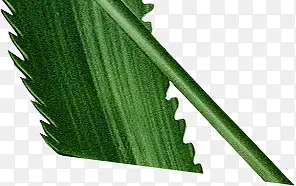 ���崴����Ӱ��ɫ��«������-������