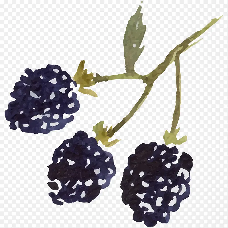 ��֦�ϵ�ɣ��-������