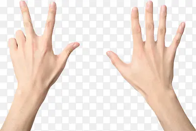 ˫�ֱȻ�����8-������