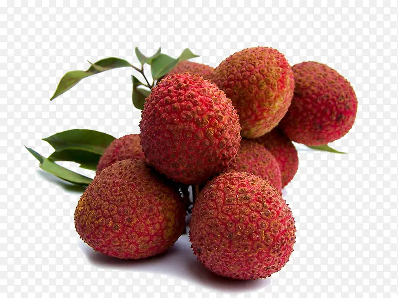 �����ֻ�ˮ�� ˮ����֦-������