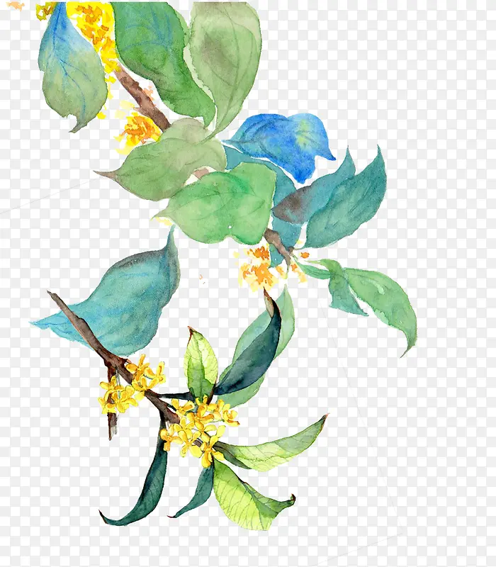 ��ɫ��ͨ�ֻ���֦-������