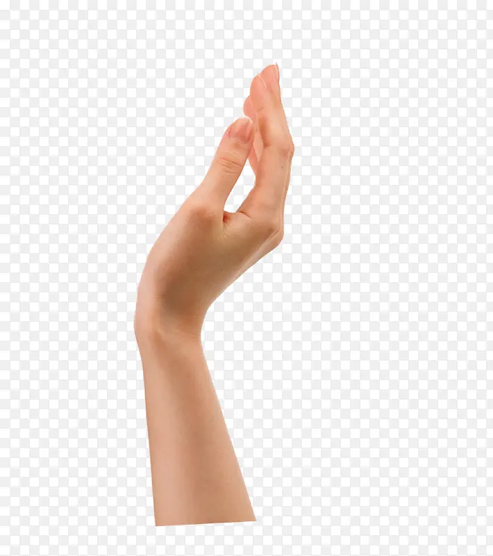 Ψ������ָ����-������