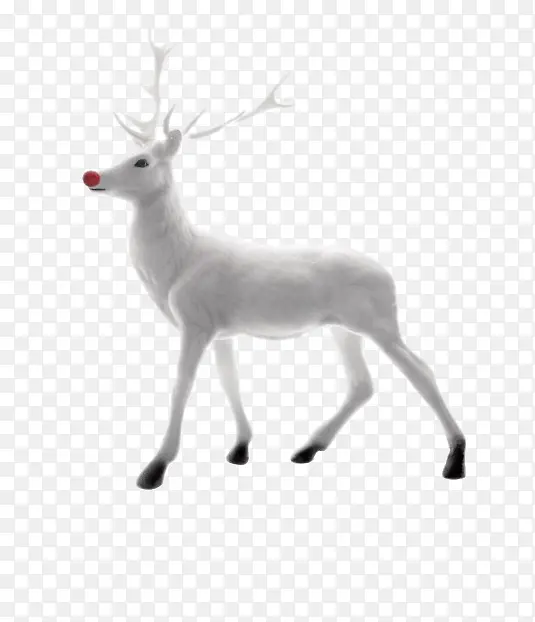 ��ɫ�λ�ѱ¹����-������