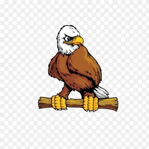 �ֻ濨ͨ��ӥ-������