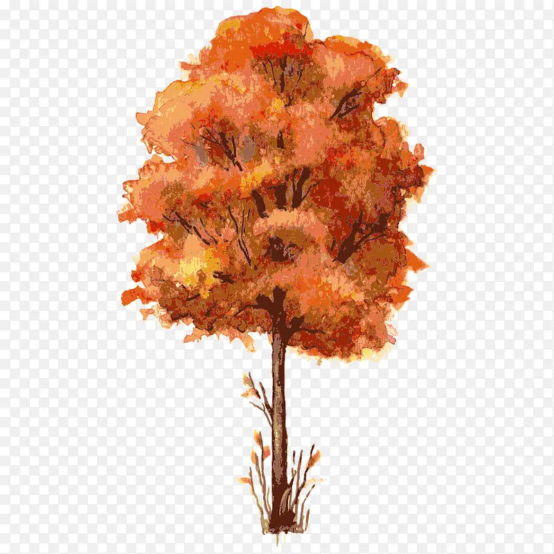 �� ��ľ-������