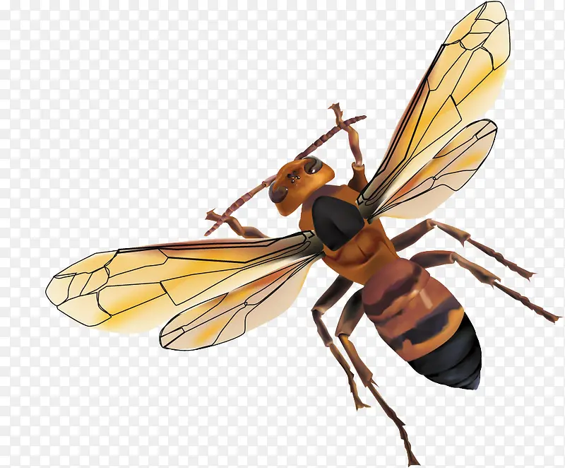 һֻ��Ʒ�-������