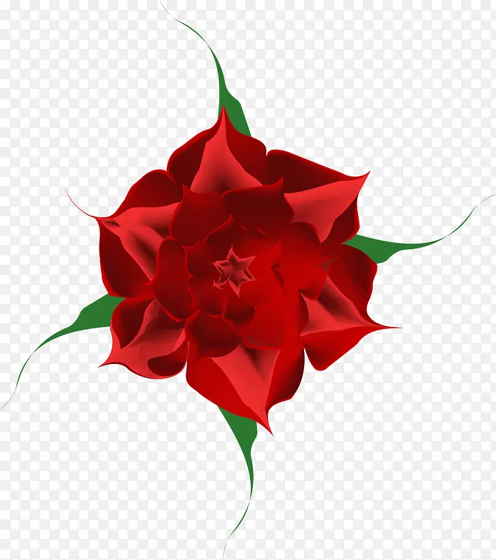 Ư����õ�廨-������