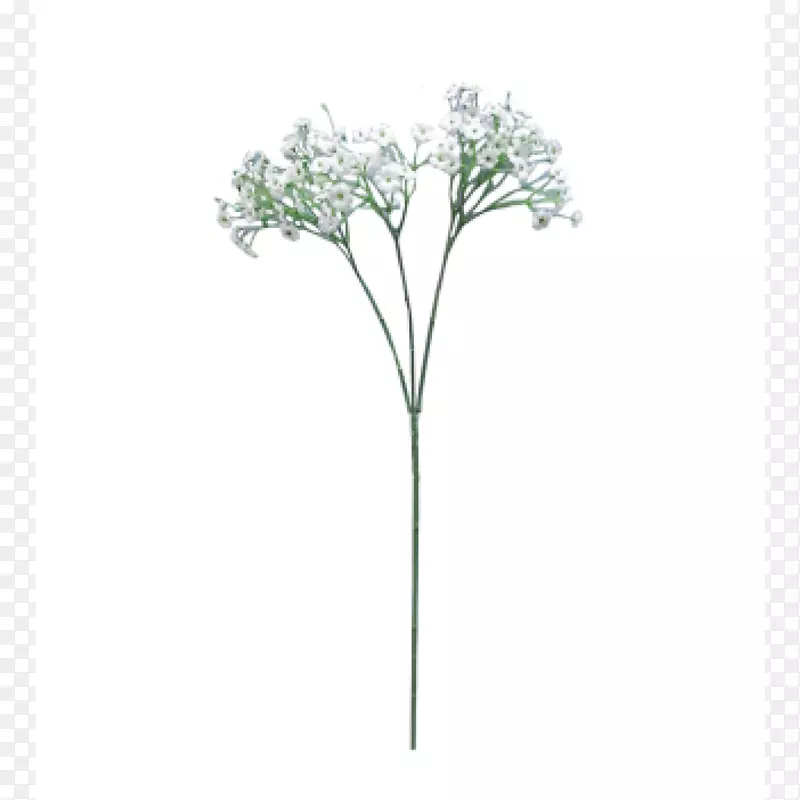 ����Ӥ������ֲ�ﾥ�л�Ӥ������-������