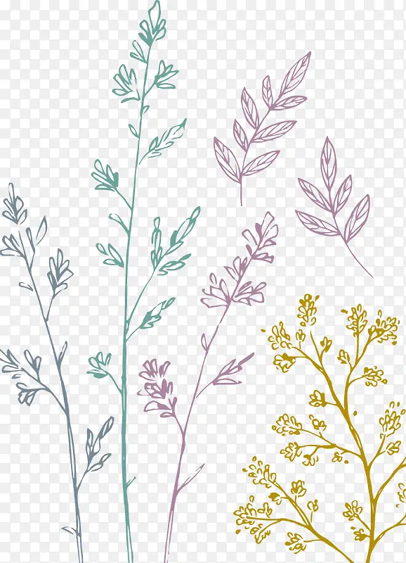 �������ֲ��-������