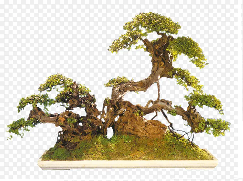 ɽ���ϵ�С��-������