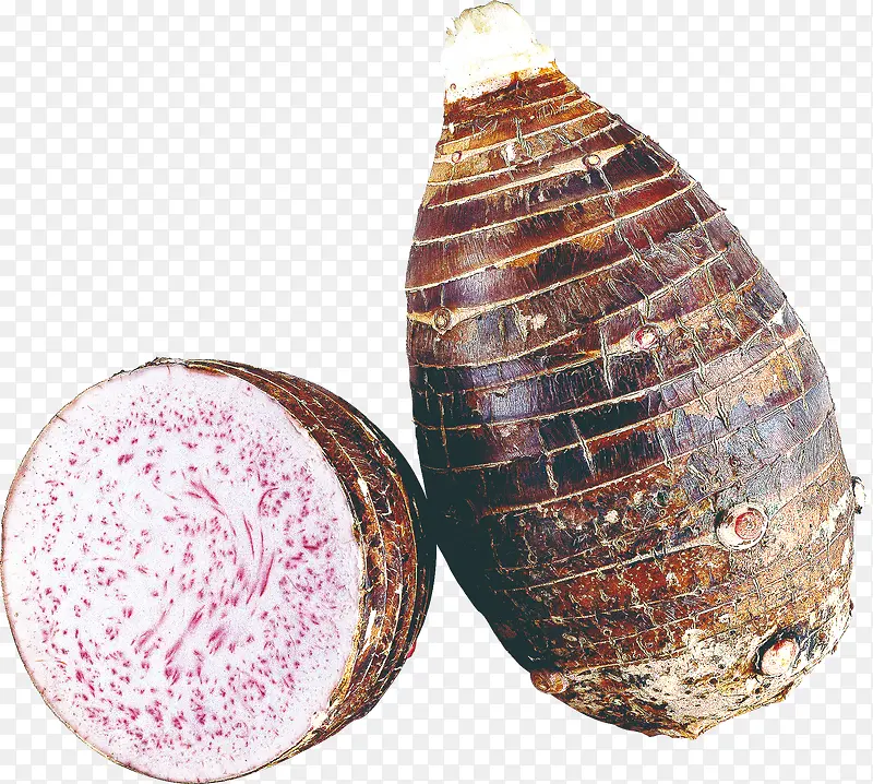 ��ͷ-������