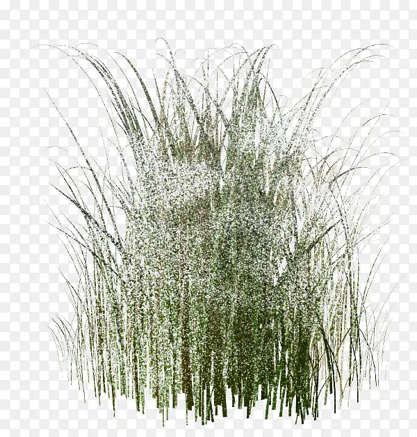 С��-������