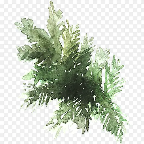 ��ɫˮ��װ����Ҷ���ͼ-������