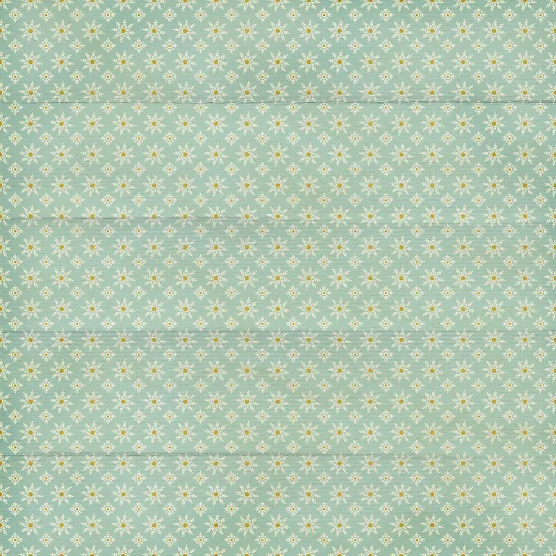 ��ɫ�ջ�����-������