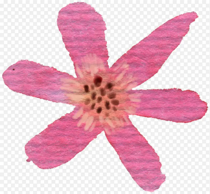 �ֻ�ˮ��Сѧ������-������