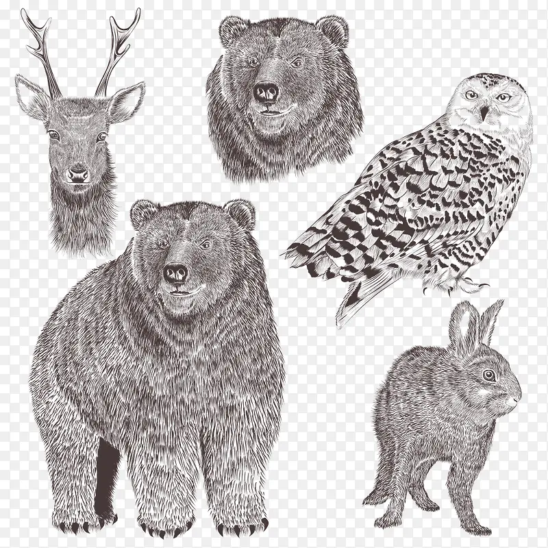 �ֻ涯���ز�-������