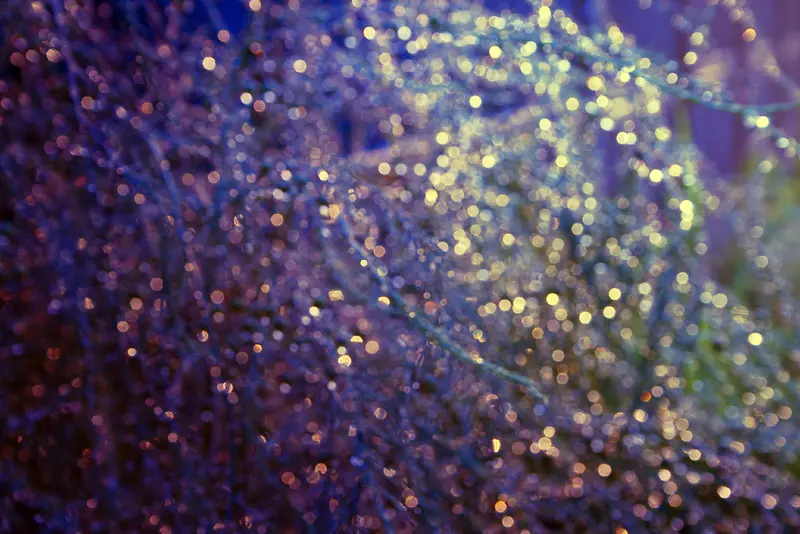 ��汳���ز�-������