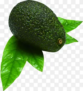 �������͹�ˮ������-������