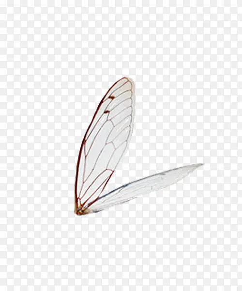 �����ز�-������