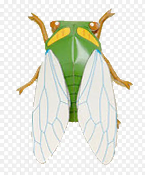 ��ͨ����-������