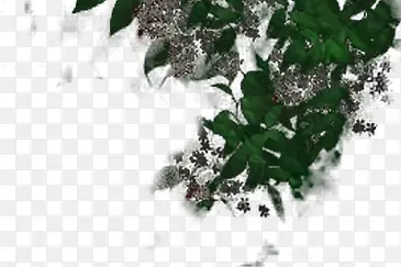 ��ɫ���Ի���װ��-������