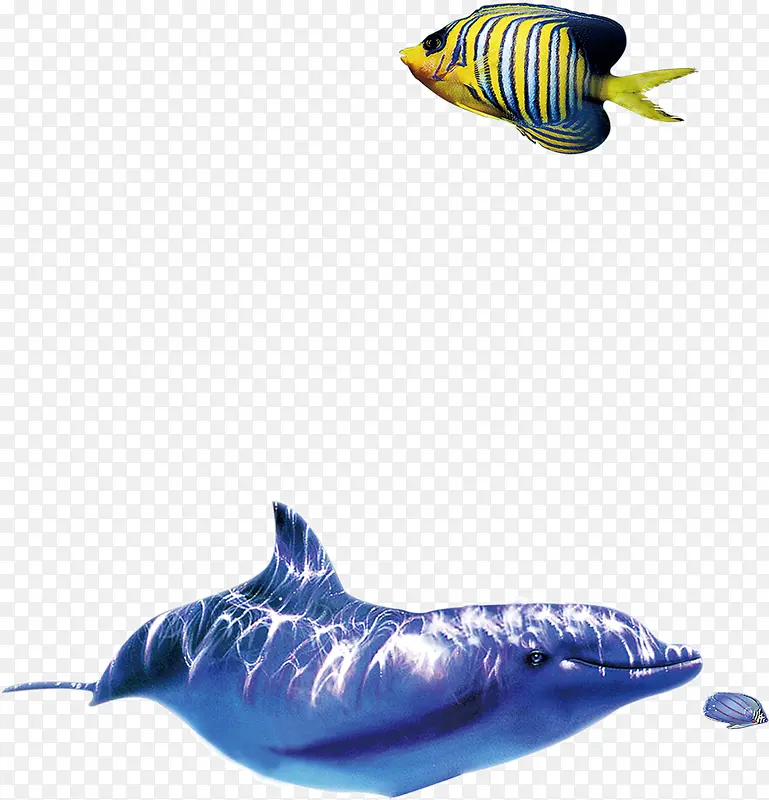 ���׶���-������