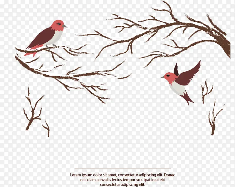 ��ѩ��֦��С��-������