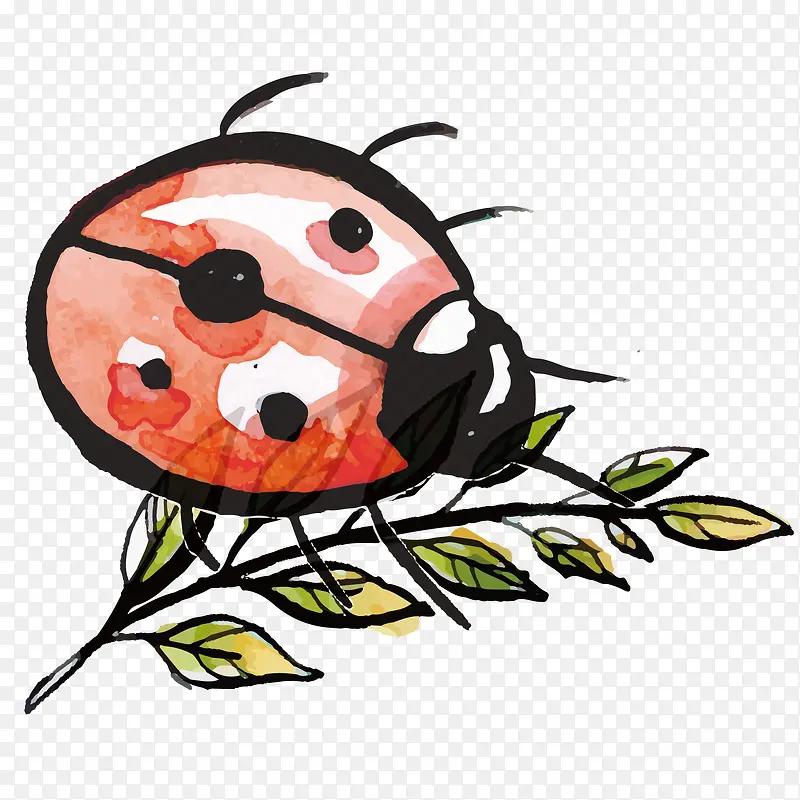 ����ư�����֦ʸ���ز�-������