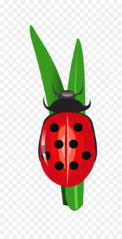 ʸ������ư���ز�-������