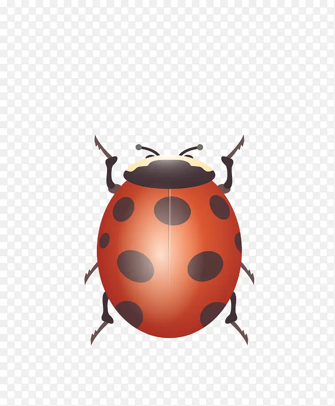 ʸ����ɫ��������ư��-������