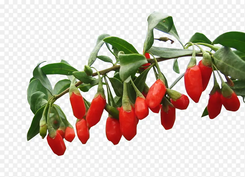 ����ز�-������