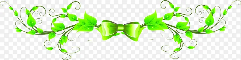 ����ϳ��ʸк�������֦-������