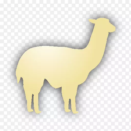 �����հ�׿�ֻ�-���⴮-������