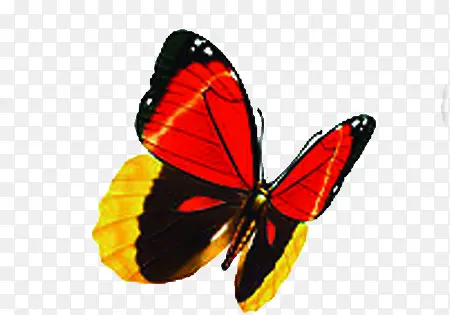 ��Ӱ���պ�������Ч��ͼ-������